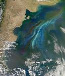 Plankton Blooms in Southern Ocean Play Significant Role in Generating Brighter Clouds Overhead