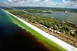Ocean Current in Gulf of Mexico Plays Key Role in Sustaining Florida Red Tide Blooms