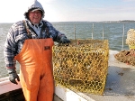 New Study Shows Economic Impacts of Removing Derelict Crab Pots from Lower Chesapeake Bay Waters