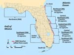 Study Assesses Effects of Artificial Light on Nesting Patterns of Sea Turtles on Florida Beaches
