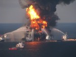 Additional Grants Sanctioned to Study Impact of Deepwater Horizon Oil Spill on Marine Ecosystem