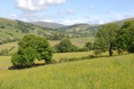 Carbon Stored Deep Under UK’s Grasslands Help Curb Climate Change