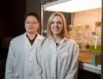 New Research Project Aims to Clean Up Oilsands Wastewater Using Native Alberta Algae