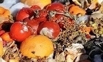 Researchers Present Study on Mitigating Climate Change by Reducing Food Waste