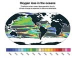 Deoxygenation Due to Climate Change Could Pose Major Threat to Marine Life