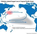 Researchers Study Impact of Dust on Health of Pacific Ocean