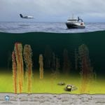 Study Results Provide New Insights into Arctic Ocean Methane