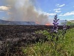 Land Managers Need to Increase Burning Frequency to Maintain Tallgrass Prairie Ecosystem, Study