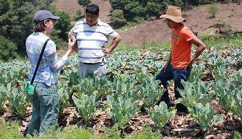 Guatemala Farmers Provided with Climate-Smart Agriculture Strategies and Water Management
