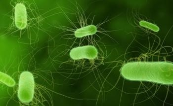 Researchers Use E.coli to Engineer Improved Biofuels