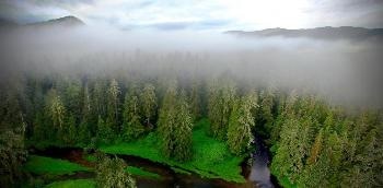 New Research Suggests that Repeated Human Occupation Enhances Temperate Rainforest Productivity