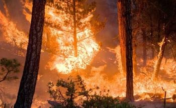 Summer Wildfires Produce More Air Pollution than Previously Thought
