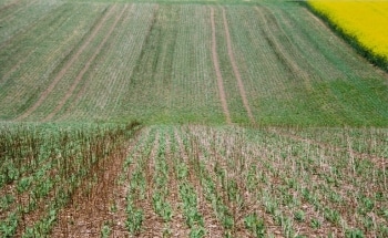 Researchers Discover No-Till is Insufficient to Improve Water Quality