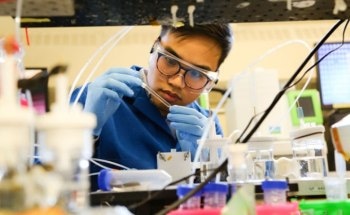 U of T Researchers Develop Innovative Catalyst for Simulating Photosynthesis