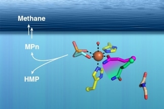 Researchers Solve Ocean Methane Puzzle