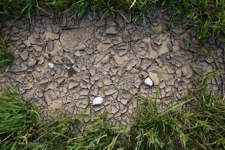 Experts Predict Far-Reaching Effects of Drought and Heatwave on Soil Ecosystem