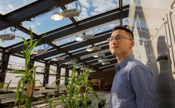 New System Paves Way Towards Transforming Greenhouse Gases into Industrial Fuels