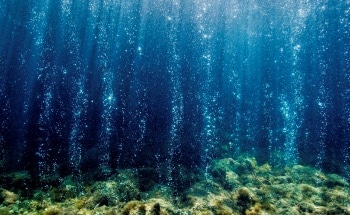 Stanford Scientists Reveal How Human-Generated Carbon Dioxide Could Reshape Oceans