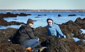 Studying the Effect of Climate Change on Coastal Ecosystems