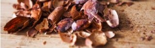 Converting Cocoa Bean Waste into Bio-Fuel for West African Villages