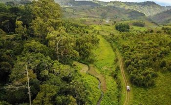 Study Finds Additional Pathway for Carbon into Rivers from Deforested Lands