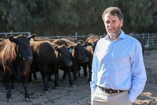 Breeding Cattle to Reduce their Methane Emissions