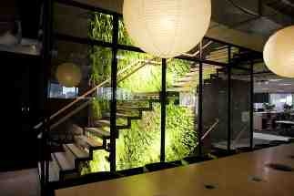 Benefits of Greenwalls in the Workplace