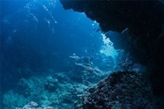 Studies Explore Link Between Sea Surface and Carbon Sequestration in Deep Ocean