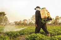 Pesticide Residues can Negatively Affect Organic Farms for Decades
