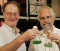 Using Bacteria and Sunlight to Produce Clean Biofuel