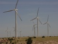 Future of Green Energy in China Rests in Wind Energy