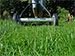 A Healthy Lawn Can Be An Environmentally Friendly Part of Your Home
