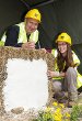 Are Houses of Straw Going to be The Environmentally Friendly Buildings of the Future