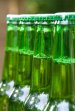 Grolsch Develops Process for Sorting Used Beer Bottles for Recycling
