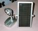 Compact Solar Camp Lights from Segue to Solar Online Store