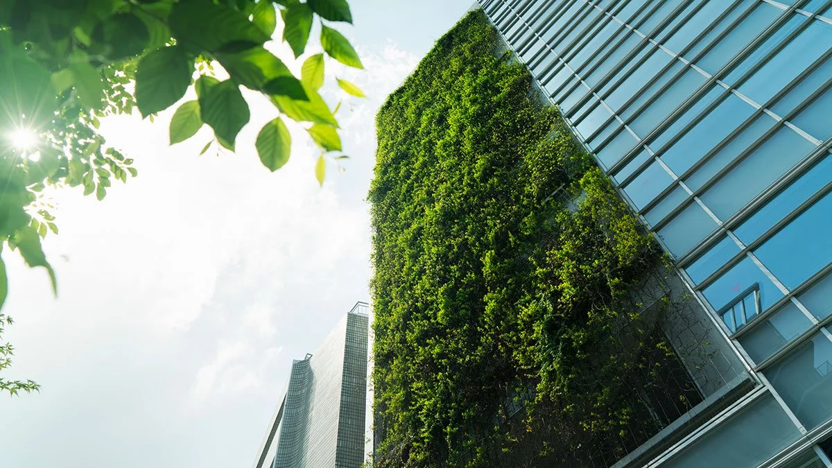 Are Nature-Based Solutions Being Used Equitably? - Vimarsana News