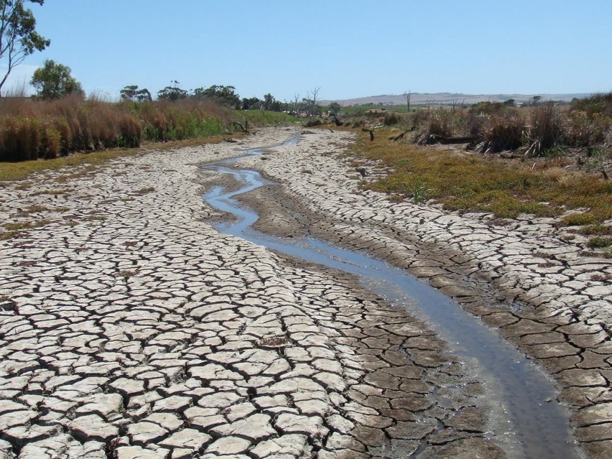 Climate Change and Extreme Weather Damage River Water Quality - Vimarsana News