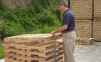 Study Shows Wooden Pallets are More Sustainable than Plastic Pallets