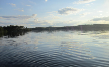 New Study on Boreal Lake Methane Emissions