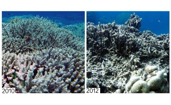 Cyclones can Damage Even Distant Reefs