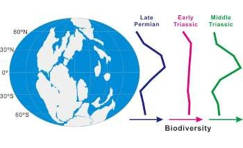 Rapid Climate Change Will Severely Affect Global Distribution of Biodiversity