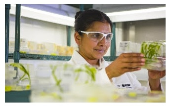 Tropic Biosciences Partners with BASF to Develop Innovative Traits for Growers