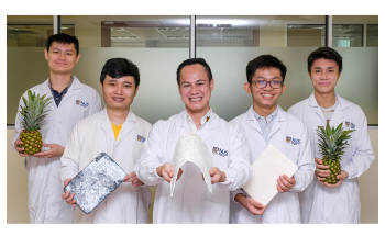 Researchers Produce Eco-Aerogels from Pineapple Leaves