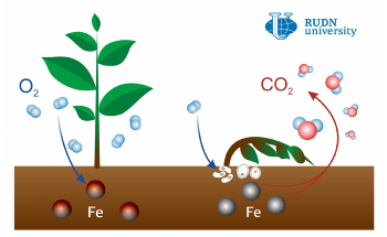 Study Shows Presence of Iron Causes Carbon Dioxide Emissions from Soil