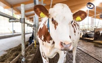 All Valio Dairy Farms Are Now Receiving a Sustainability Bonus