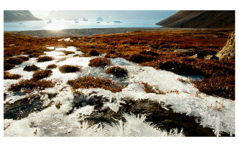 Study Presents Large Unaccounted Carbon Footprint of Arctic Permafrost