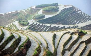 Future Food Security of China will have Huge Environmental Impacts, Finds Study