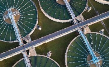 Microalgae can be Used for Cleaning Wastewater and Synthesizing Biofuels
