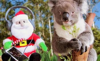New Free Initiative to Give Koalas a Future this Christmas