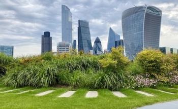 AIPH Partners with the European Federation of Green Roof and Living Wall Associations (EFB) for Greener Cities